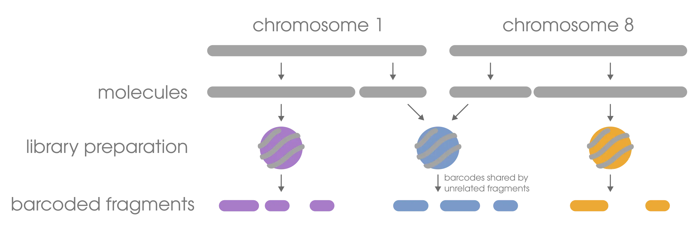linked-read terminology