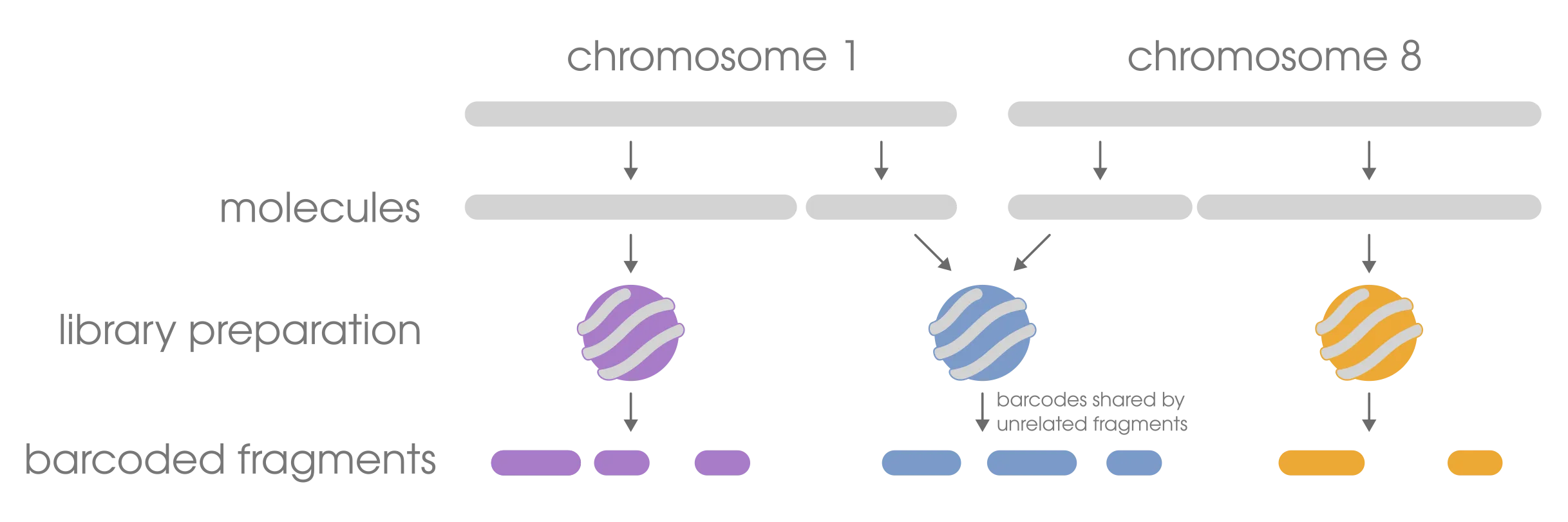linked-read terminology