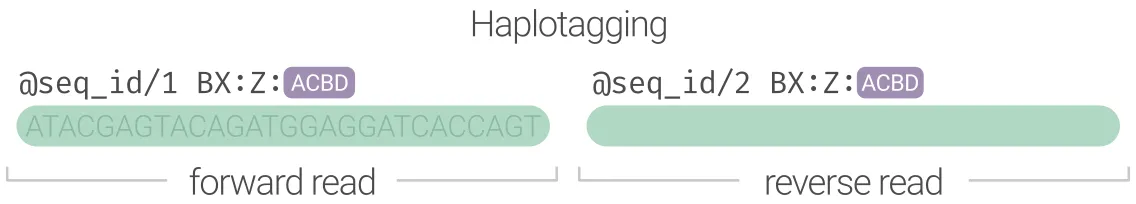 Haplotagging
