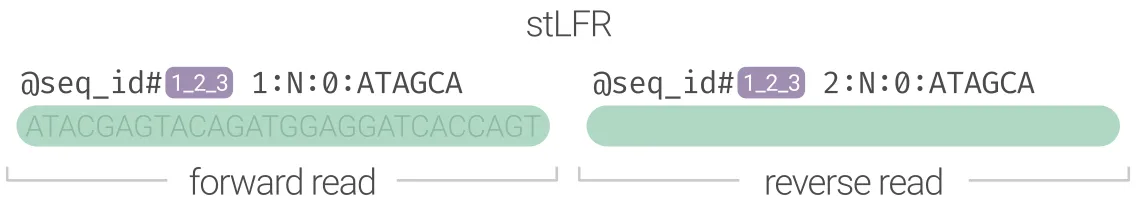 stLFR