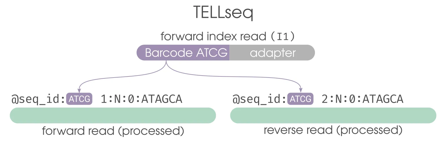 TELL-seq