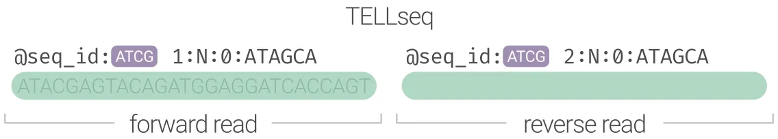 TELL-seq