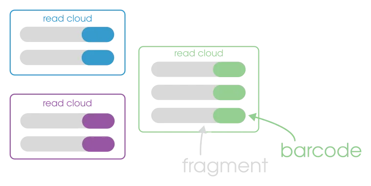 linked-read terminology